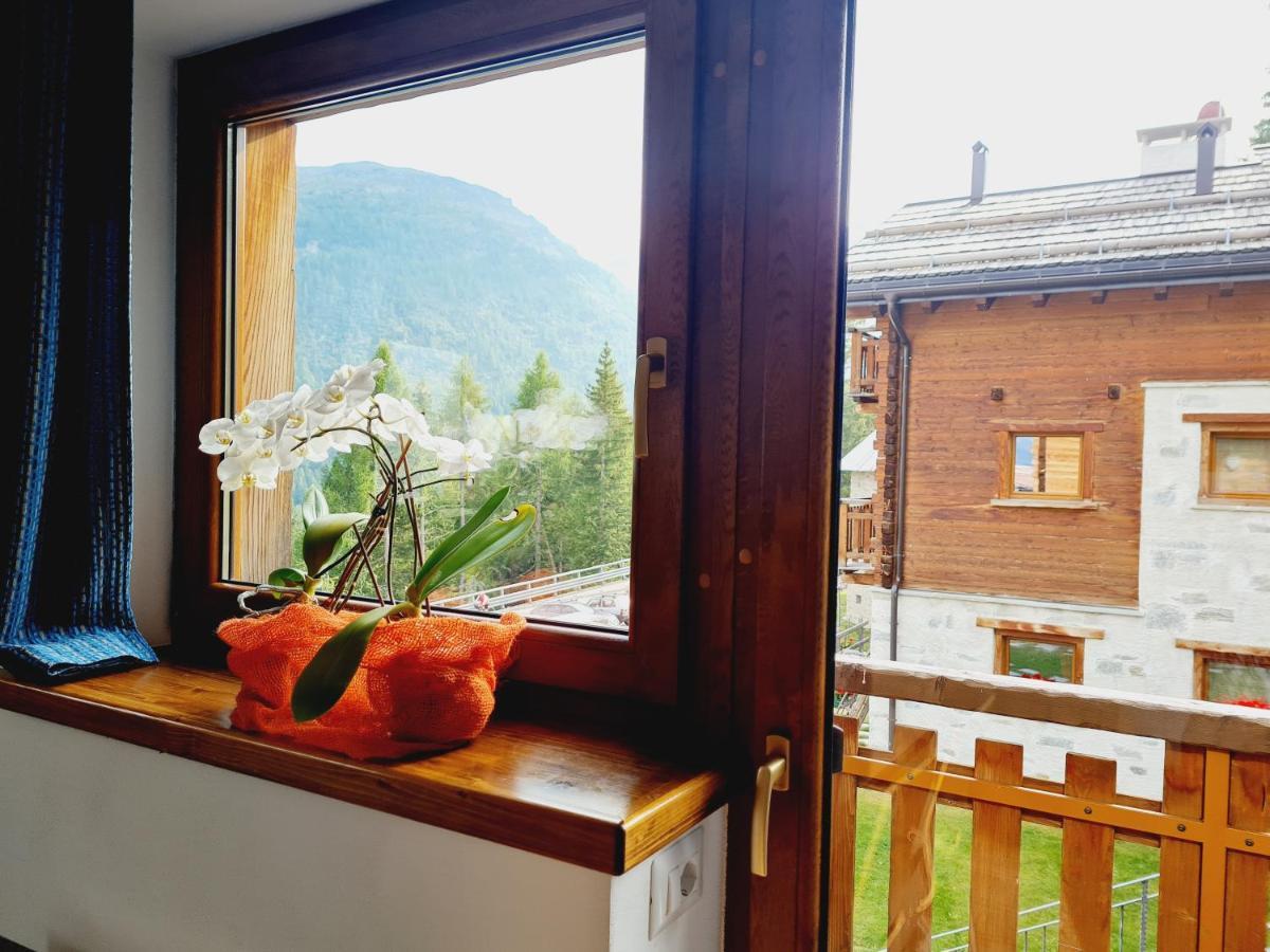 Chalet Selva Isolaccia Dış mekan fotoğraf